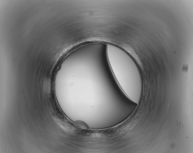 X0000094180204200710260939