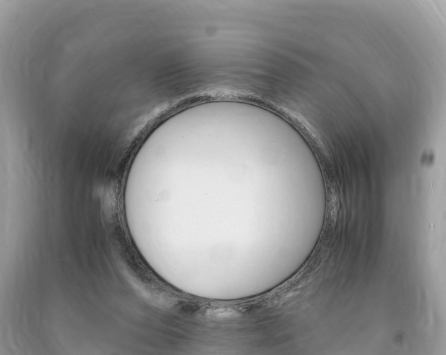 X0000094180208200710260939