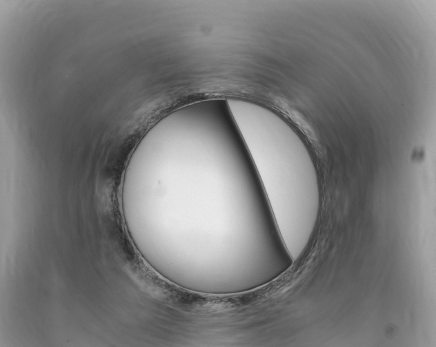 X0000094180209200710260939