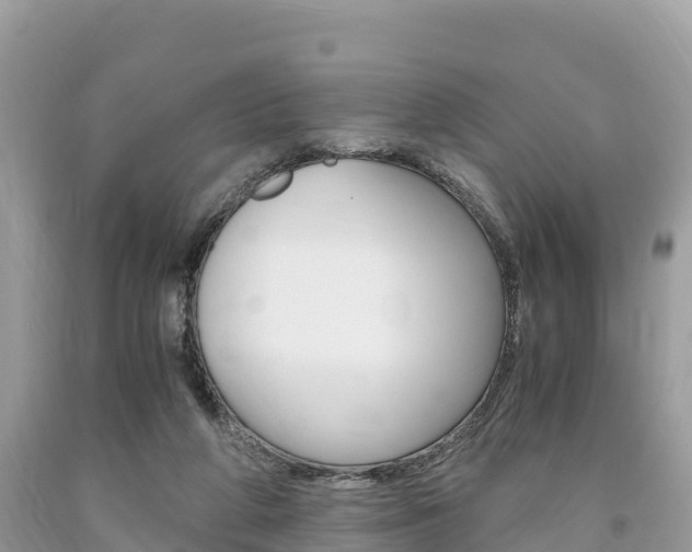 X0000094180210200710260939