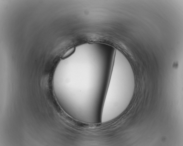 X0000094180217200710260939
