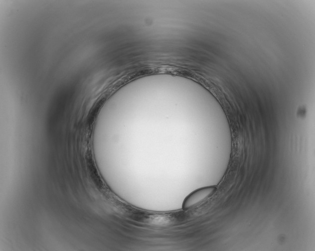 X0000094180218200710260939