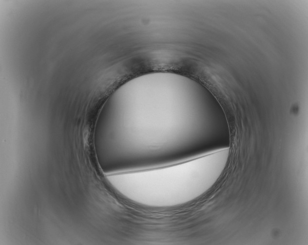 X0000094180219200710260939