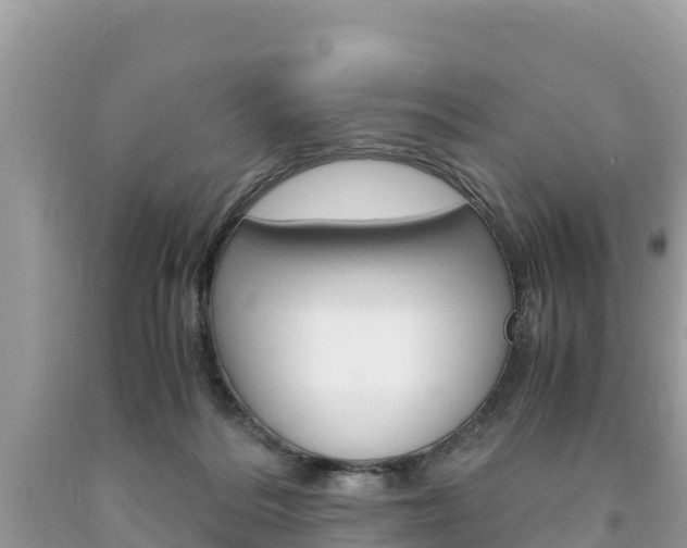 X0000094180220200710260939