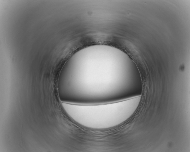 X0000094180221200710260939