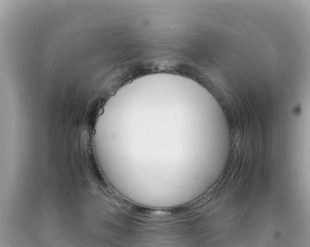 X0000094180222200710260939