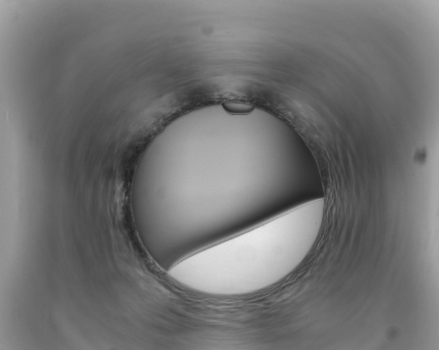 X0000094180223200710260939