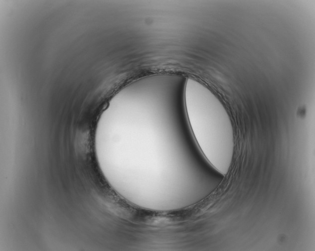 X0000094180224200710260939