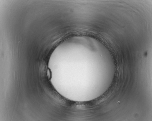 X0000094180228200710260939