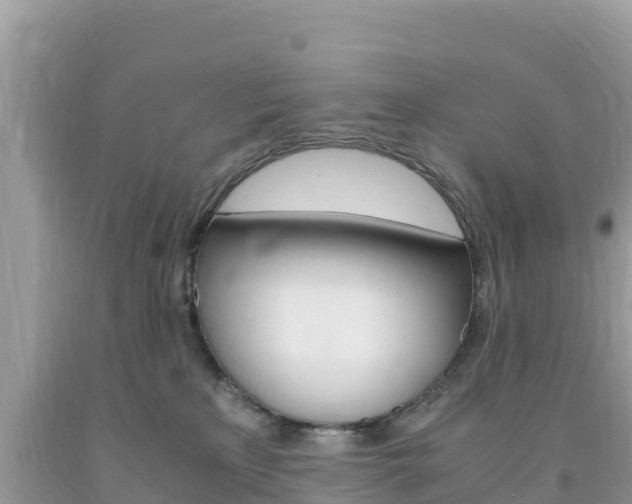 X0000094180233200710260939