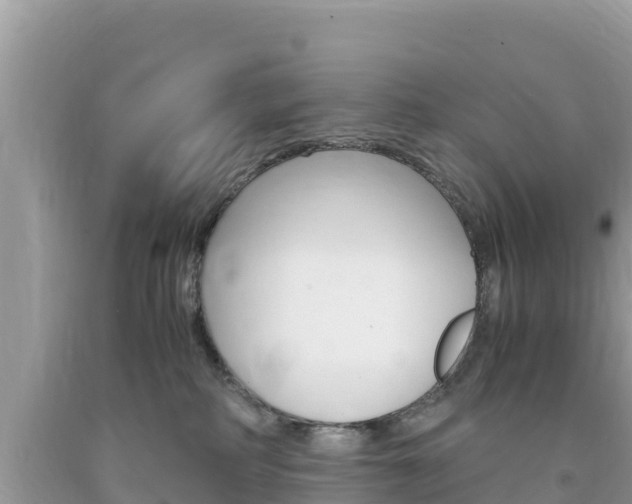 X0000094180234200710260939