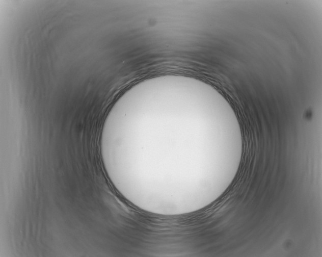 X0000094180239200710260939