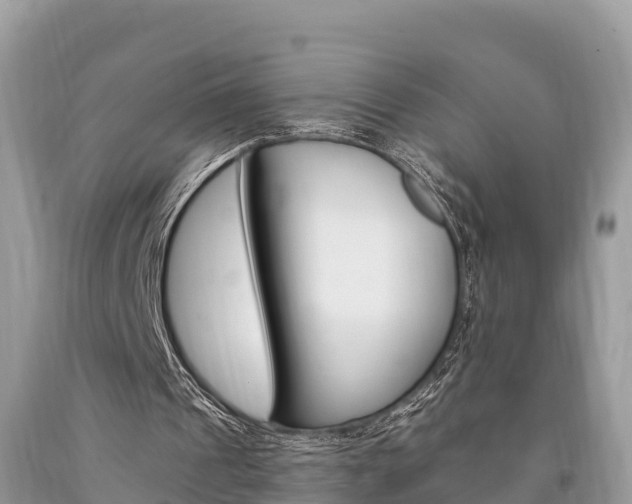 X0000094180241200710260938