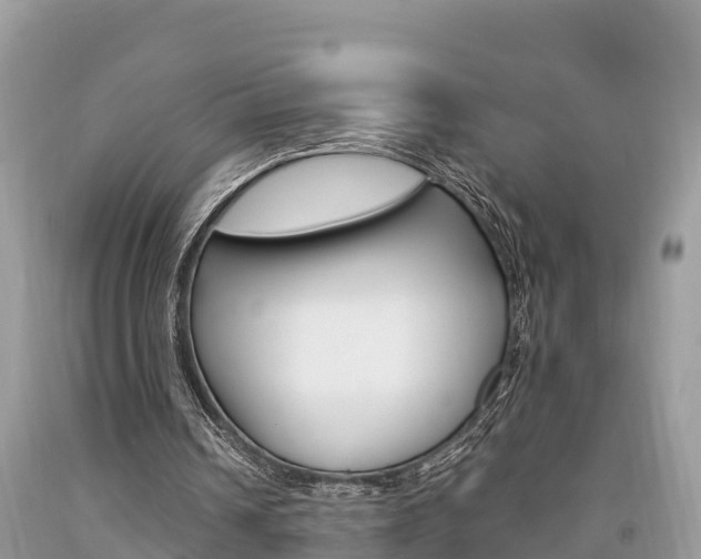 X0000094180242200710260938