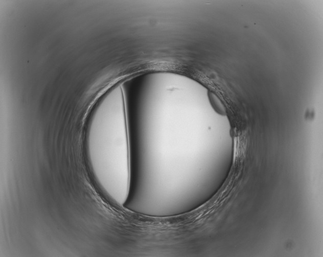X0000094180243200710260938