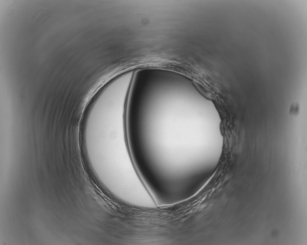 X0000094180244200710260938
