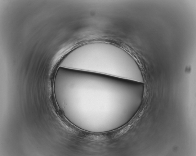 X0000094180245200710260938