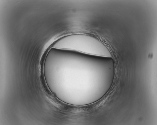 X0000094180246200710260938