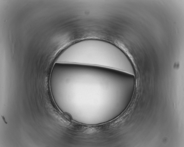 X0000094180249200710260938