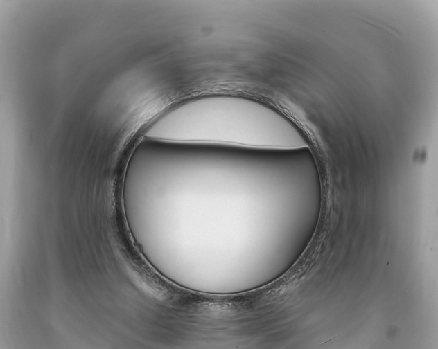X0000094180250200710260938