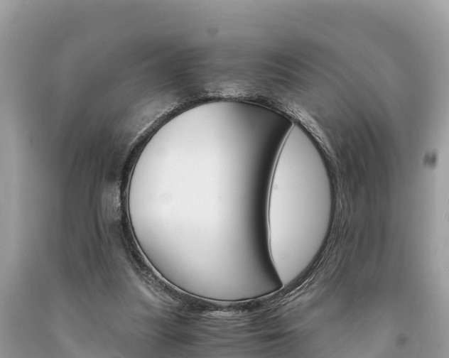 X0000094180251200710260938