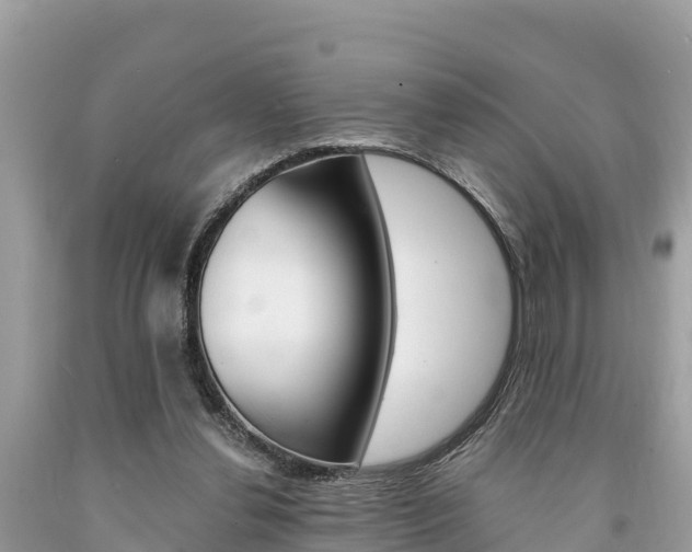 X0000094180252200710260938
