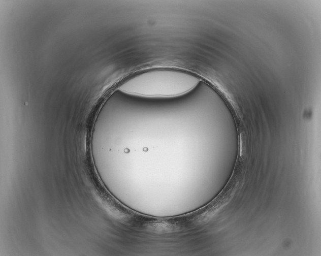 X0000094180253200710260938