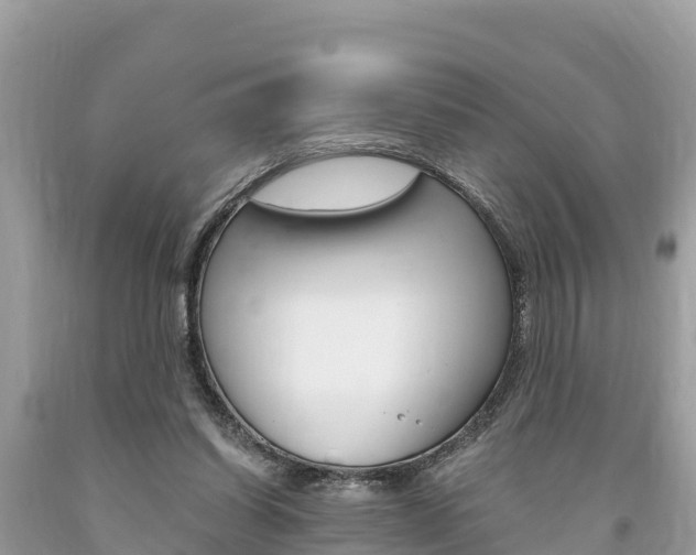 X0000094180254200710260938