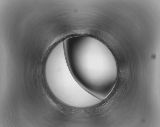 X0000094180256200710260938