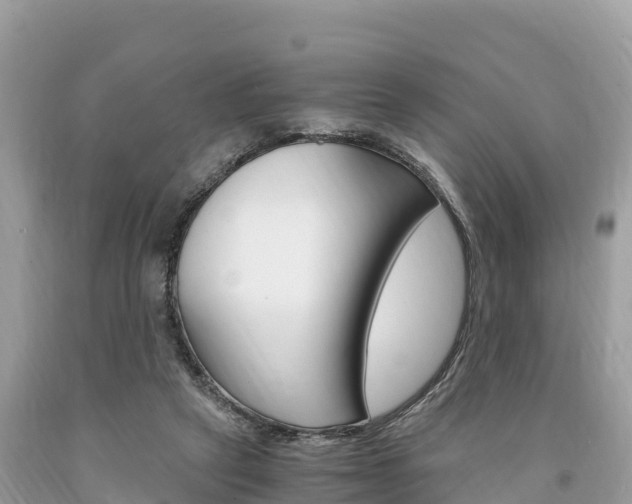 X0000094180257200710260938