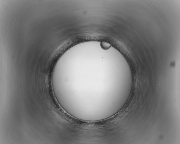 X0000094180258200710260938