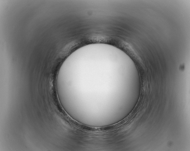 X0000094180259200710260938