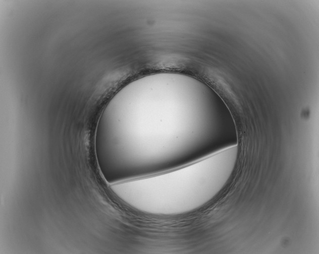 X0000094180260200710260938