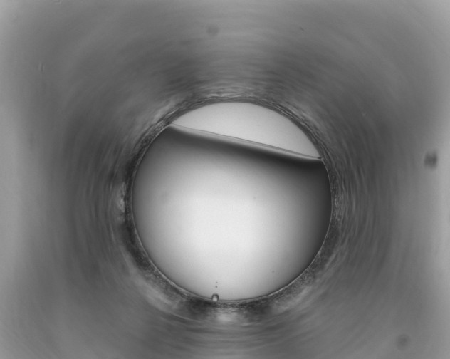 X0000094180264200710260938