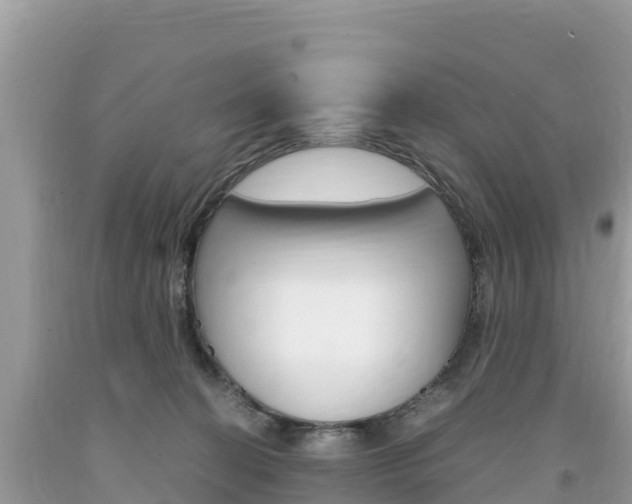X0000094180274200710260939