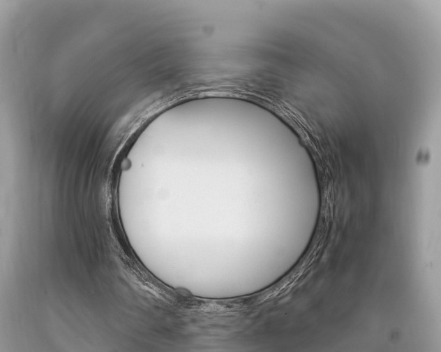 X0000094180290200710260938