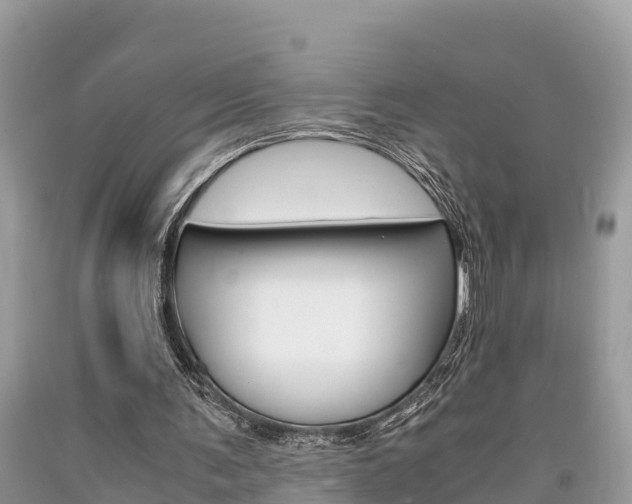 X0000094180291200710260938
