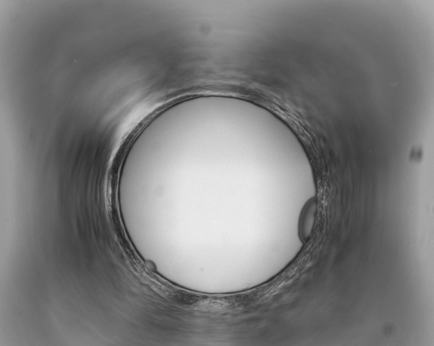 X0000094180294200710260938