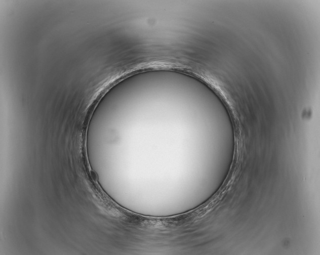 X0000094180297200710260938