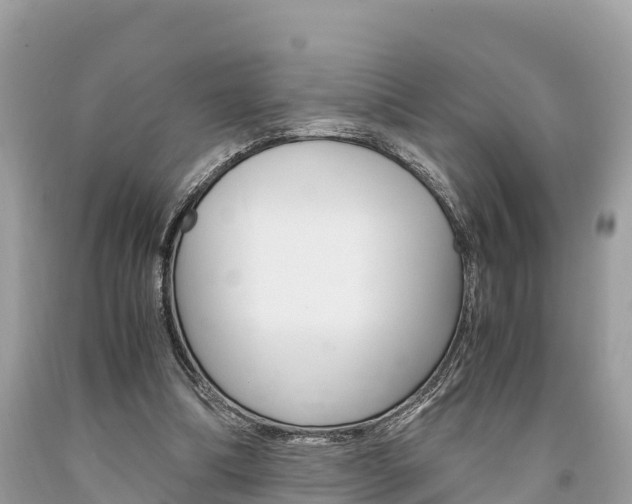 X0000094180298200710260938