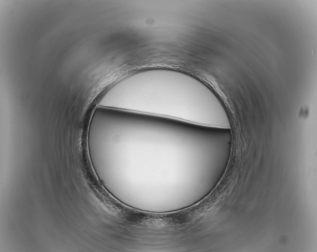 X0000094180299200710260938