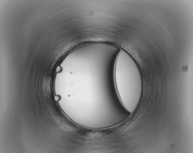 X0000094180300200710260938