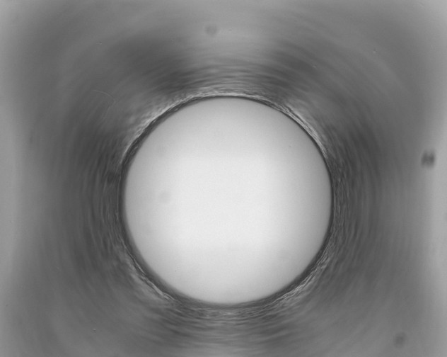 X0000094180301200710260938