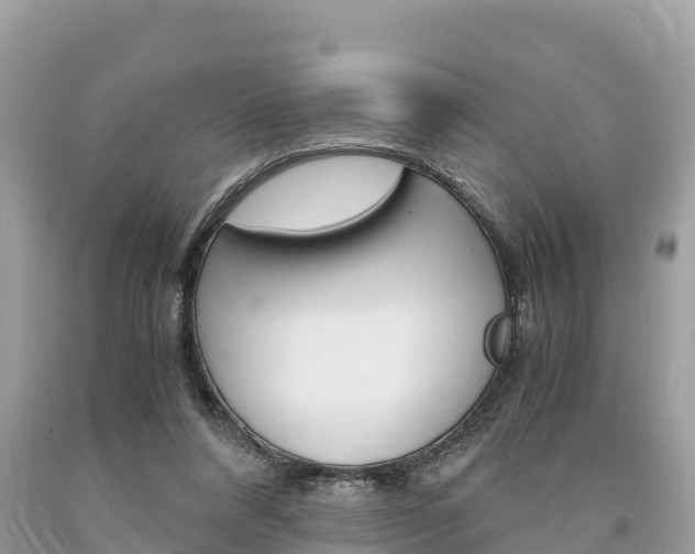X0000094180304200710260938