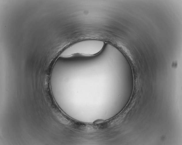 X0000094180305200710260938