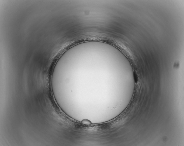 X0000094180306200710260938