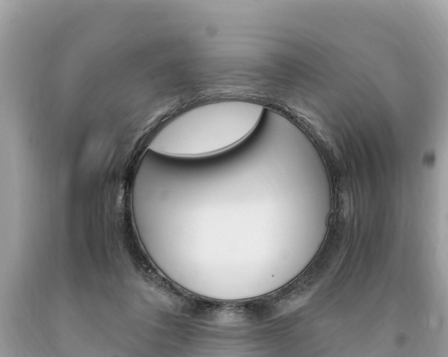X0000094180308200710260938