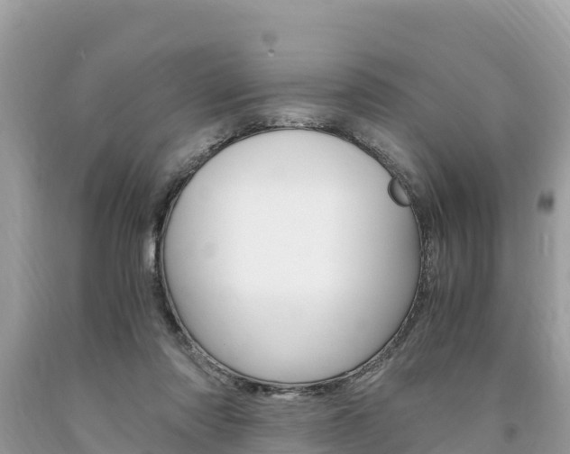 X0000094180310200710260938