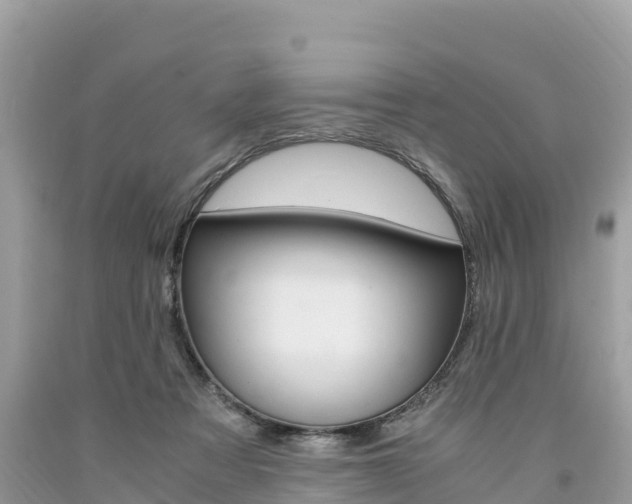 X0000094180313200710260938