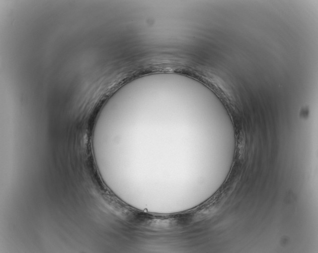 X0000094180314200710260938